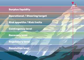 High Liquidity Is Not Always a Good Thing: How to Set the Right Targets