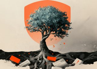 How to Build a Mature Anti-Fraud Function